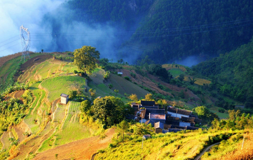 Contemplar flores de cerezo en el Monte Wuliang de Dali, Yunnan en invierno1